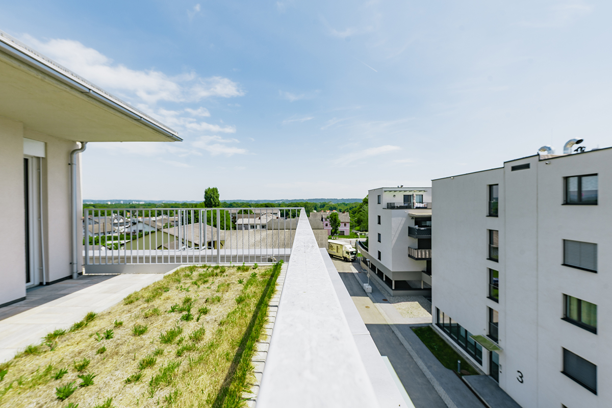 Feldkirchen bei Graz, Friedrich-Ritter-Weg - Eigentumswohnungen, Mietwohnungen mit Kaufoption (Mietkaufwohnungen), Mietwohnungen - GWS Wohnungen - Aussicht